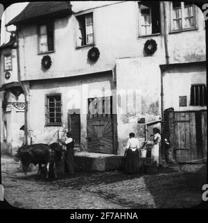 Skiopticone image with motifs of man with its oxen and women, at the body of the water in unknown city in Germany.The image has been stored in cardboard marked: the journey in 1904. Rhine II. Stock Photo