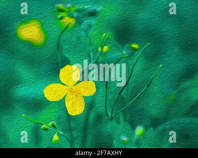 Yellow flower of celandine plant on a green background, raster illustration. Flowering Period: Spring-Autumn Stock Photo