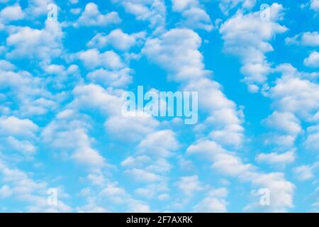 Sky filled with Cirrocumulus clouds Stock Photo