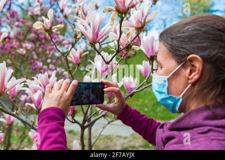 Quarantine spring. Woman in medical mask takes a photo of blooming magnolia flowers in the park. Focus on hands and phone Stock Photo