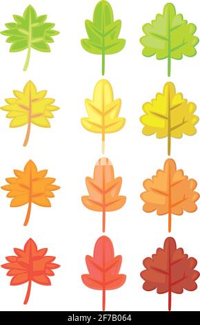 Set of autumn leaves isolated on white background. Flat isolated vector illustration. Stock Vector