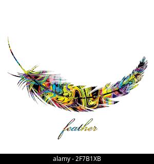 Colorful feather isolated on white background Stock Vector