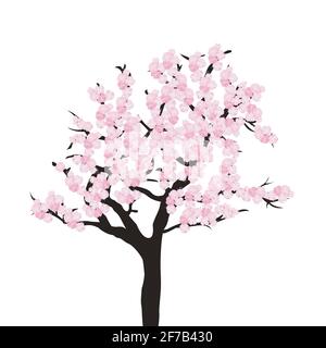 Cherry tree isolated on white background illustration Stock Vector ...
