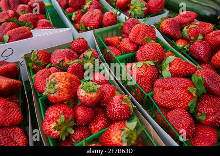 Strawberries in baskets at farmers market Stock Photo