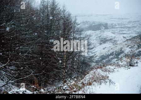 Rhondda Valley, Wales, UK. 6th April 2021 UK Weather: Snow falls on the mountains of the Rhondda Valley, South Wales. AndrewDowling/AlamyLiveNews Stock Photo