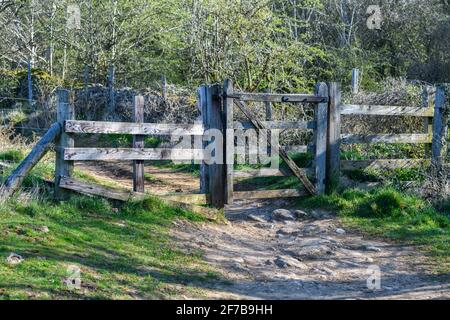 Old wooden gate in the English Countryside Stock Photo