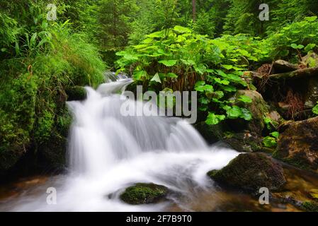 Waterfall on mountain stream in the National park Sumava-Czech Republic Stock Photo