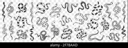 Various snakes of different patterns doodle set. Collection of hand drawn wild snakes cobra python wriggling on ground ready to bite isolated on transparent background Stock Vector