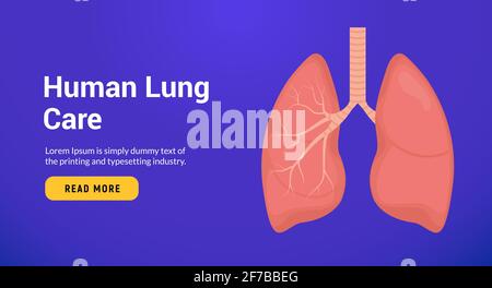 Lung anatomy health banner concept. Tuberculosis asthma human lung doctor biology Stock Vector