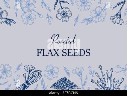 Hand drawn flax design. Vector illustration in sketch style for linen seeds and oil packaging Stock Vector