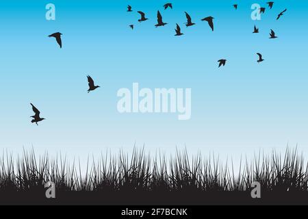 Field of grass and silhouettes of flying birds Stock Vector