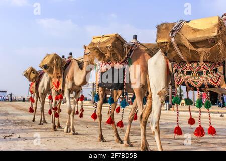 souk okaz festival taif saudi arabia Stock Photo