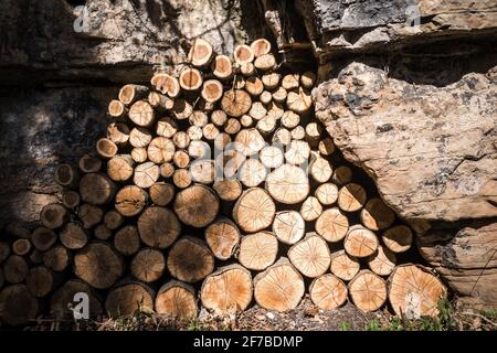 Big pile of freshly cut symmetrical tree logs stacked up high waiting to dry out in summer sunshine ready for burning. Lines of symmetry big to small. Stock Photo