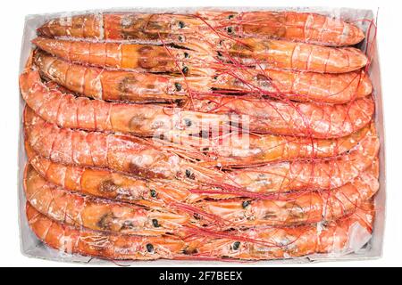 Large frozen langoustine prawns in a package. Seafood healthy. Stock Photo