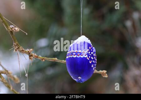 cold and snowy easter holidays with colored and painted hanging easter eggs covered with snow Stock Photo