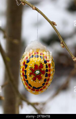 cold and snowy easter holidays with colored and painted hanging easter eggs covered with snow Stock Photo