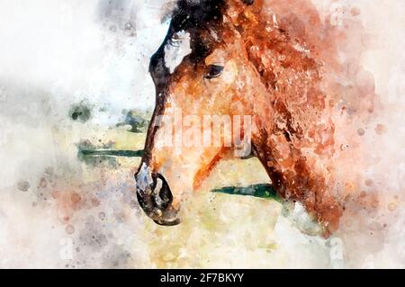 watercolor drawing a horse in a rural field of spain Stock Photo