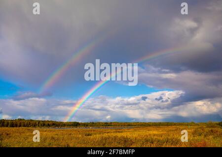 double rainbow over the island Bock, Germany, Mecklenburg-Western Pomerania Stock Photo