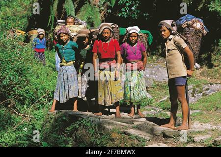 A Group Of Youngsters On An Adventure Trip In Fairbrook In The Peak District National Park Derbyshire Uk Stock Photo Alamy