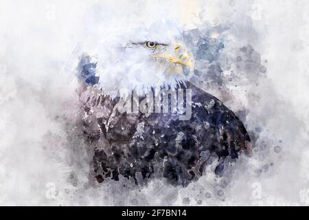 watercolor, Freedom American white-headed eagle, beautiful hunter bird with white head and orange beak on cloudy background Stock Photo