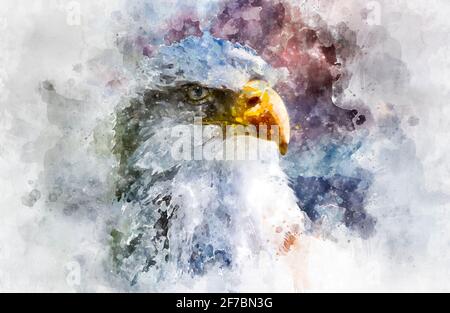 Watercolor, American white-headed eagle, beautiful hunter bird with white head and orange beak on cloudy background Stock Photo