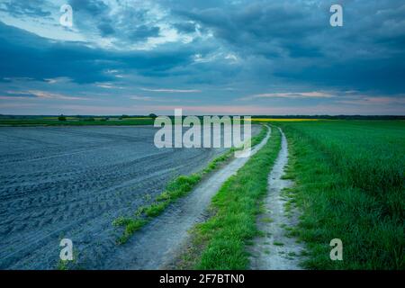 Rural road through the fields in eastern Poland Stock Photo