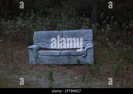 Sofa abandoned in the forest. Stock Photo