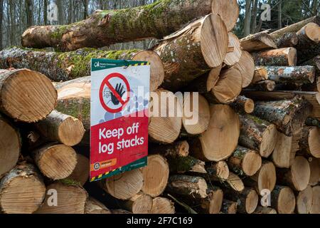 'Keep Off Log Stacks' sign in a forest after trees have been cut down and stacked at the side of a logging trail.