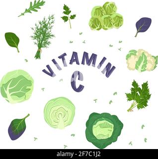 A set of different types of cabbage and herbs for the diet. Source of vitamin C Stock Vector