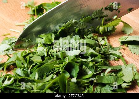 Chopping parsley on a cutting board Stock Photo