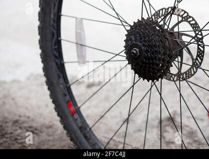 Rear bicycle cog cassette maintenance required close-up. Ready for repair, clean and lubricating after winter storage. Preparation before spring seaso Stock Photo