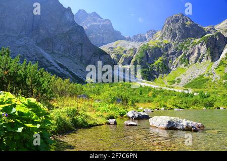 Beautiful summer landscape. Mountain lake Zelene pleso in National Park High Tatra. Slovakia, Europe. Stock Photo