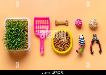 Dry food in bowl, spatula, nail scissors, grass, collar, balls, bones on beige background Top view Flat lay Toys, accessories and food for your belove Stock Photo