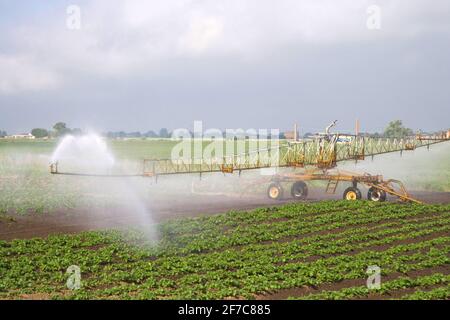 watering farm crops in the cambridgeshire fens Stock Photo