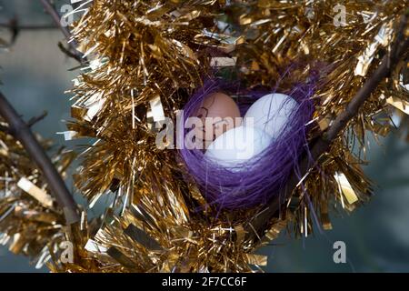 Hackney. London. Decorated hens' eggs in a nest as an Easter decoration. Stock Photo