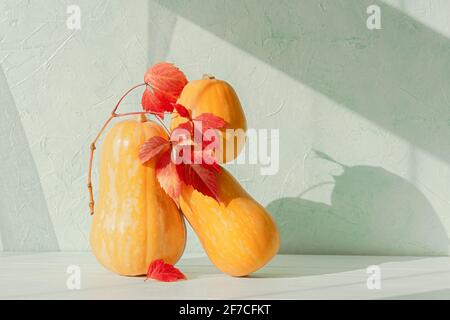 Orange pumpkin autumn red leaves on a wooden table. Creative holiday composition for Thanksgiving. Conceptual bright design for Halloween. Natural nat Stock Photo
