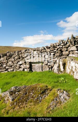 Drystone wall with a sheep gate on upland pasture outside Bala in North Wales, UK Stock Photo