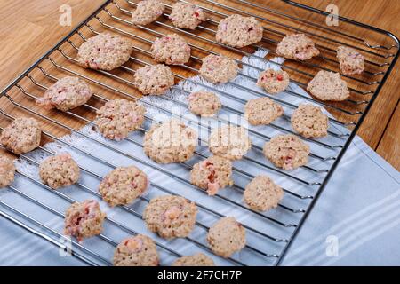 Strawberry Chocolate Chip Cookies on metal tray. Stock Photo