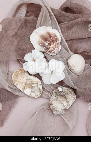 Summer feminine still life scene. Beige silk ribbons and scarves, white geranium flowers. Sea shells on pastel wooden table, background. Vertical flat Stock Photo