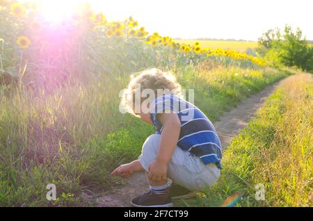 little boy sitting in the field Stock Photo