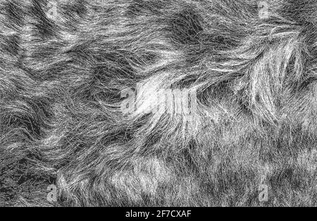 Distressed overlay texture of natural fur, grunge vector background. abstract halftone vector illustration Stock Vector