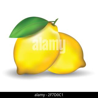Lemon illustration isolated on white background. Lemon vector. Stock Vector