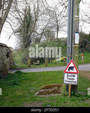 An unusual road sign warning drivers of Springtime migratory toads crossing the road in Southend Garsington Oxford England UK Stock Photo