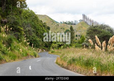 Curvy street in Whanganui district, New Zealand Stock Photo