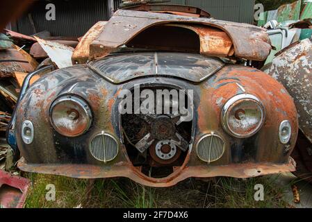 Antique cars on a big scrapyard at the end of Old Coach Road Trail, North Island of New Zealand Stock Photo