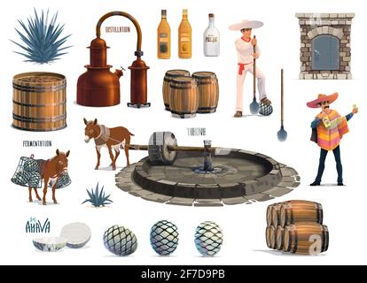 Mexican tequila alcohol drink production process Stock Vector