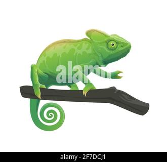 Chameleon cartoon animal on tree branch Stock Vector