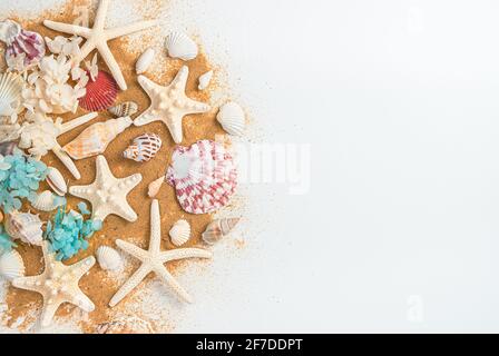 A large assortment of seashells and starfish on the beach sand on a white background. Sea background, horizontal view with space to copy. The concept Stock Photo
