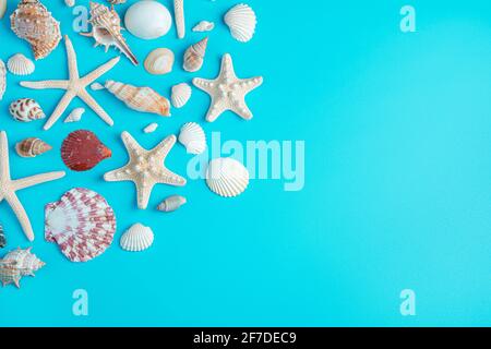 Starfish and shells of different shapes on a blue background. Top view, horizontal. The concept of marine backgrounds. Stock Photo