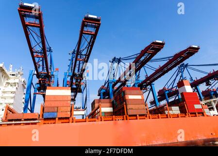 Container terminal gantry cranes for loading and offloading intermodal containers from container cargo ships. Stock Photo